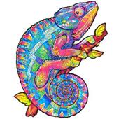 Iridescent Chameleon (M)